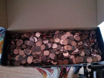I asked my nephew what he wanted for Christmas His only answer was money I unwrapped  rolls of pennies into the box He asked me how much was in there I told him I didnt know