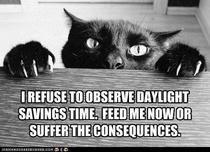 I can has Daylight Time back 