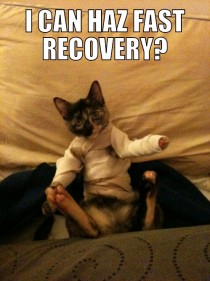 I can has fast recovery