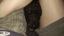 I can only post once every  years so heres my dog doing what she does when my partner and I want to snuggle