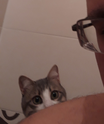 I cant even poop in peace
