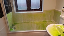 I cant tell if my roommate is bleaching the bathroom or if they went Dexter on some sort of alien