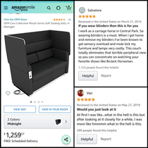 I Couldnt Figure Out the Purpose of this Couch The Reviews Answered All of My Questions