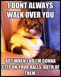I dont always walk over you