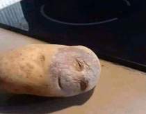I dont know if I should cook this potato or take it to the hospital