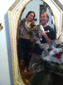 I dont think fluffy wanted to be in the family photo