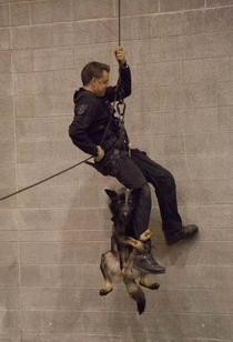 I dont think he likes rappelling
