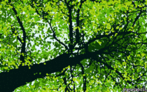 I drew this pixel art scene and called it Breathe 