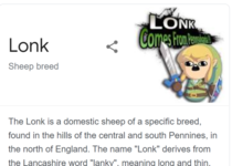 I dunno lonk doesnt look like a sheep to me