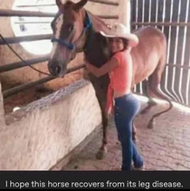 I feel bad for the horse