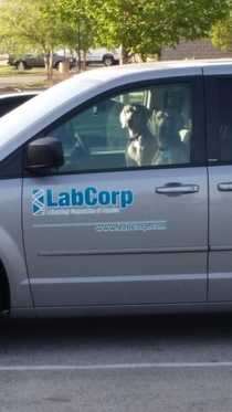 I feel like lab Corp is judging me