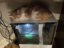 I finally found out why my PC kept overheating
