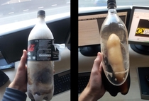 I forgot a soda in the freezer and a dick appeared in my bottle when the ice partially melted