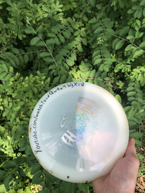 I found a frisbee while disc golfing and got rick rolled