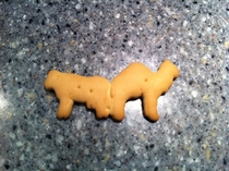 I found Requiem for a Dream in my Animal Crackers