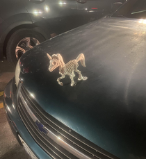 I have a few questions about this hood ornament