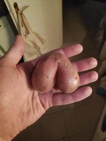 I have found the manliest of potatoes