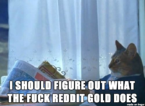 I have one day of reddit gold remaining