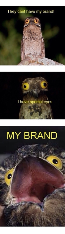 I have special eyes