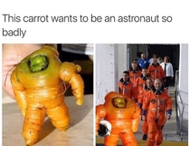 I hope this carrot can make his dreams come true