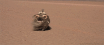 I just found the other gif of that pug Hell yeah