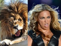 I Knew I Had Seen That Lion Before