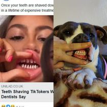 I knew those teeth looked familiar