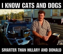 I know cats and dogs