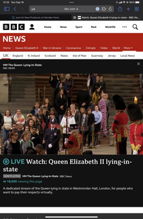 I logged in to the live stream of QEII lying in-state and found Waldo within two seconds They didnt make it very hard