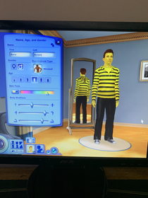 I made a Barry B Benson sim and now Im going to seduce a bunch of women into making yellow babies