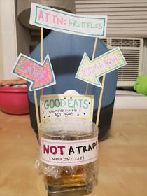 I made a homemade fruit fly trap They wont be able to resist
