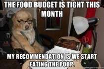 I miss this meme Financial Advisor Dog cuts the budget