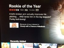 I need to know whos writing Netflix movie descriptions