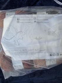 I ordered some yarn and as I joke I put please draw a dragon and a tortoise breakdancing They delivered