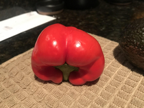 I see we are posting thic veg