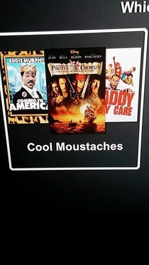 I stumbled upon Netflixs best category ever
