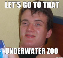 I think my friend meant aquarium