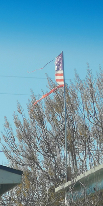 I think my neighbor may need a new flag