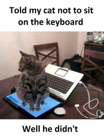 I told my Cat not to sit on my keyboard Well he didnt