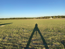 I took a photo of my shadow in a field