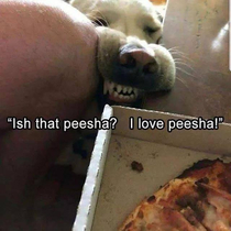 I want peesha