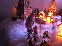 I was freaking out for the past hour looking for my bird It was in my Christmas Village the whole time