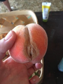 I was innocently trying to eat a peach today for breakfast when suddenly
