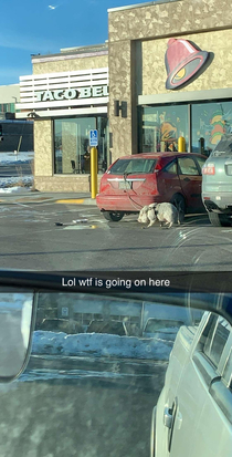 I was just trying to get some Taco Bell breakfast and saw this in the parking lot