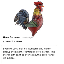 I was looking at reviews for a ft metal rooster on tractor supply for my garden and came across this perfect review that I cant believe they posted