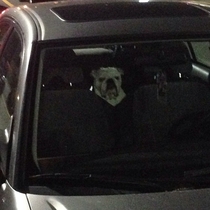 I was putting my groceries in my truck when I had this feeling like I was being watched