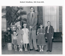 I was reading an article about Robert Wadlow the tall man to ever live and they showed this picture It made me crack up