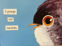 I wish it was true for every bird pooping-on-human folly throughout history