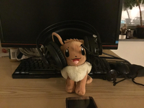 I woke up after a nap and saw my parents did this to my Eevee plush