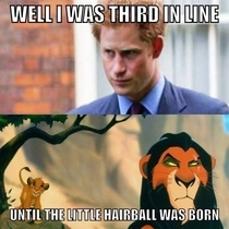 I wonder what Prince Harry really thinks